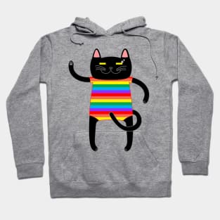 Black Cat Wearing a Rainbow Striped Onesie Hoodie